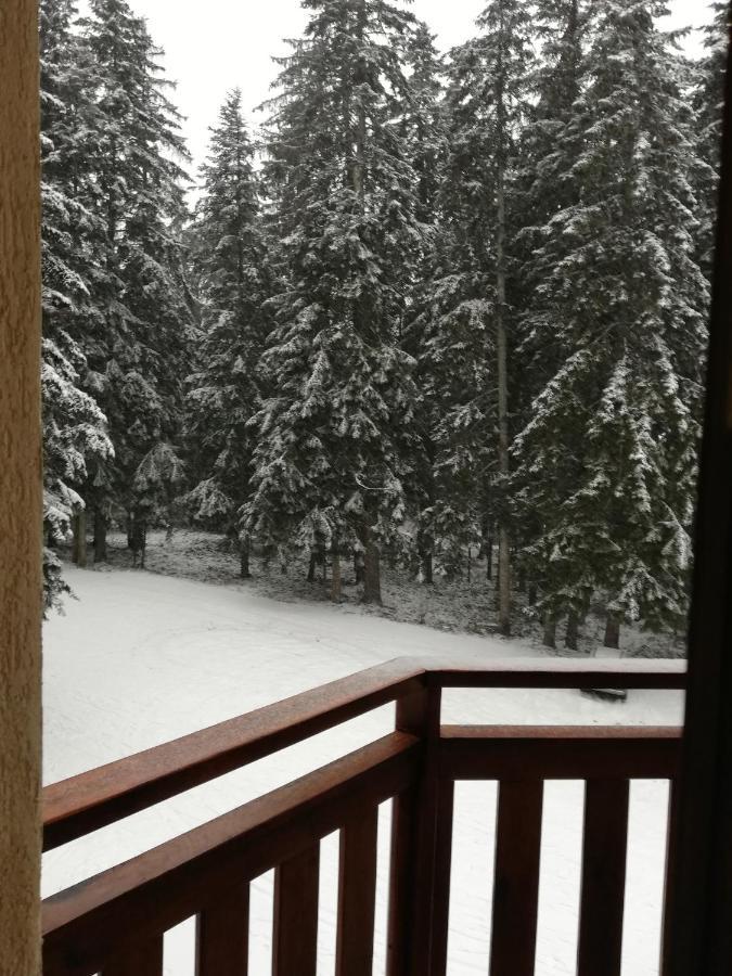 Hq Apartments Villa Park Borovets Dış mekan fotoğraf